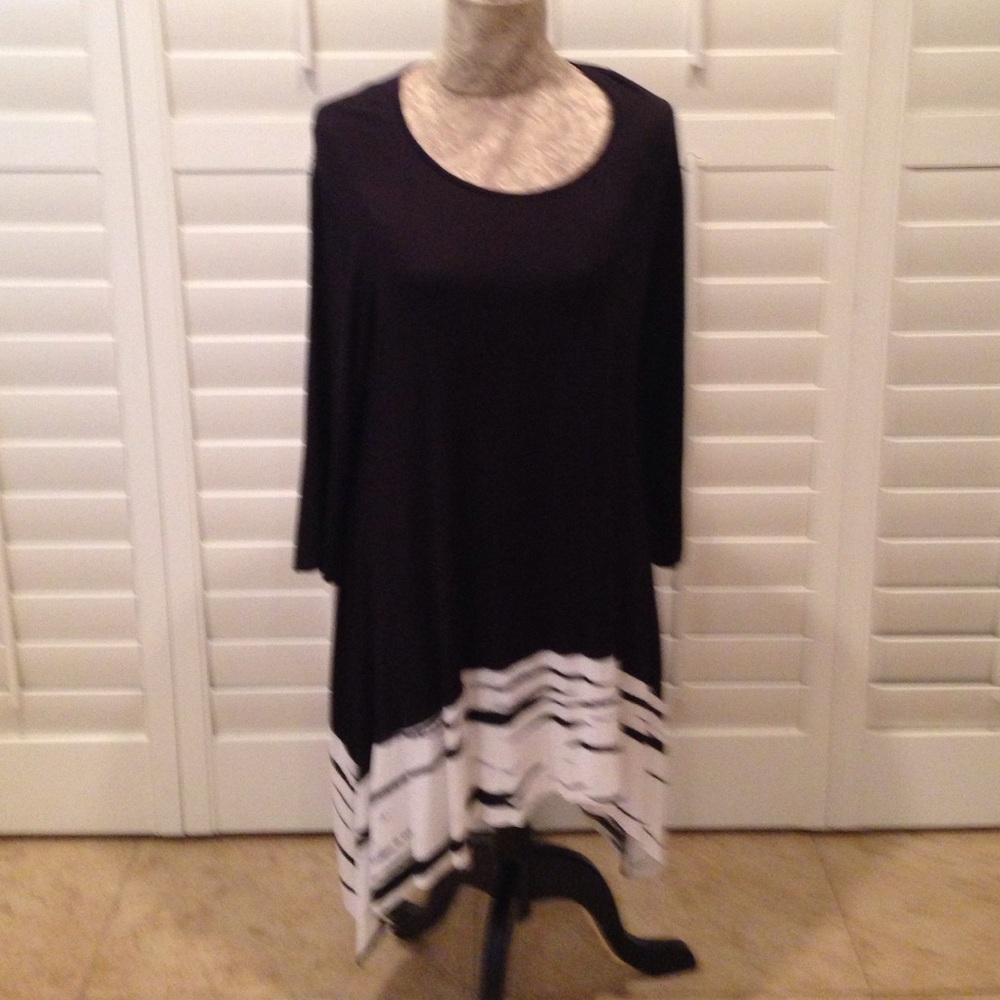 Dunia Black and White Zebra Accent Tunic
